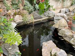 -谷咖啡·鲜花绿植花园餐厅