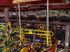 -合肥滨湖国家森林公园