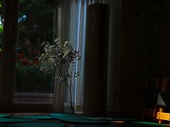 -Isofit 普拉提·婵柔工作室