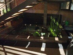 -羊门客在·烤盐池滩羊·川菜