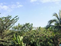 -三亚海棠湾万丽度假酒店