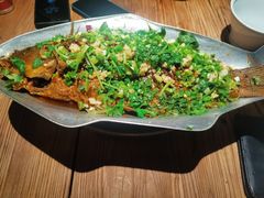 香辣炝锅鱼-树厨贵州菜(大十字店)