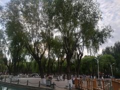 -建国公园