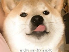 -UltraForce超源健身私教工作室(长楹天街精品店)