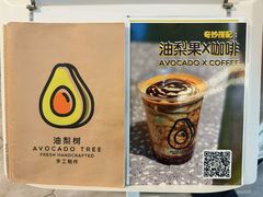 -油梨树AVOCADO TREE(望京店)