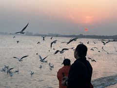 -老虎石海上公园