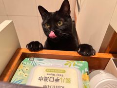 -总动员动物医院(宝丰院店)