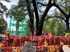 -大槐树寻根祭祖园