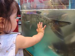 -魏铭鱼头捞饭(晋阳路店)