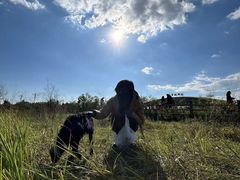 -敕勒川草原文化旅游区