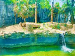 -五龙山野生动物王国