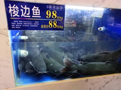 -蓉城鱼馆•活鱼现做(六道湾店)