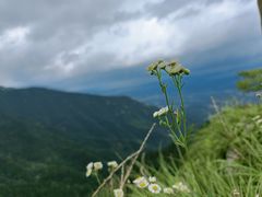 -庐山风景名胜区