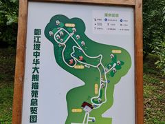 -都江堰中华大熊猫苑