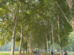 -河南省黄河迎宾馆