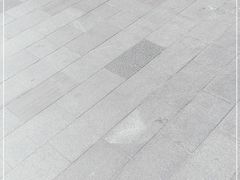 -五芳斋(中山大道总店)
