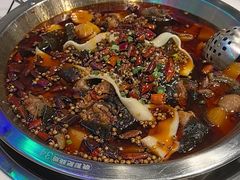 -晓彭肥肠鸡·泡椒鸡火锅(水木天地店)