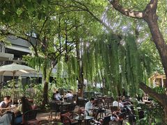 -Fern Forest Cafe