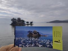 -小普陀