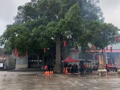 -悦城龙母祖庙