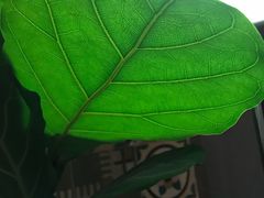 -时光花园(白鹭洲店)