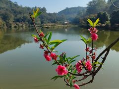 -南国桃园旅游度假区