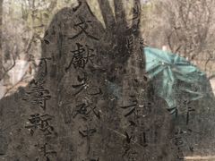 -文瀛公园