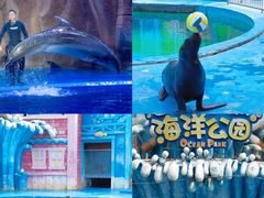 -华夏文旅西安度假区