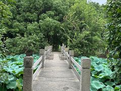 -绍兴镜湖国家城市湿地公园
