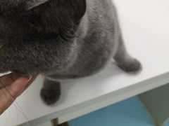 -狗舍宠物医院(四季商业广场店)