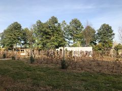 -安德鲁户外烧烤帐篷营地(马泉营店)