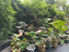 -观宴·品质赣菜(高新大道店)