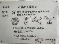 -棒棒贝贝(顾村分部)