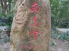 -上海佘山国家森林公园东门地面停车场
