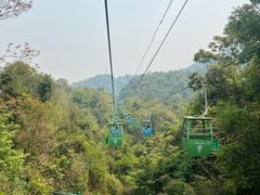-野象谷景区