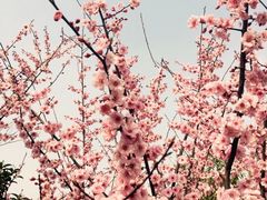 -上海科技馆(地铁站)