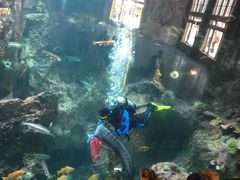 -西雅图水族馆