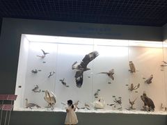 -盐城丹顶鹤湿地生态旅游区