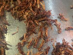 -姚一刀大广安驴肉(津保路店)