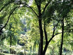 -盆景园(扬州大运河文化旅游度假区)