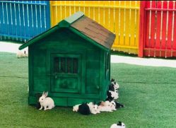 -萌宠亲子动物乐园(槐房万达店)