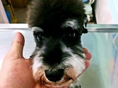 -北京博爱动物医院有限公司