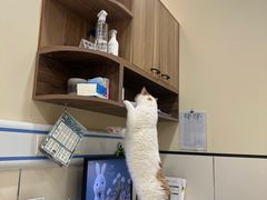 -萌兽医馆·犬猫专科·眼科中心·宠物医院(朝阳门分院)