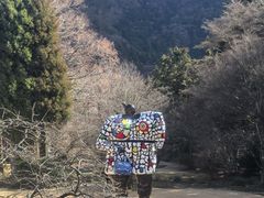-雕刻之森美术馆