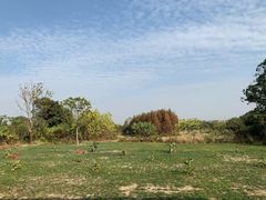 -良渚文化村
