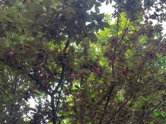 -春晖园度假酒店温泉