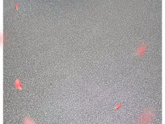 -芦潮港集贸市场