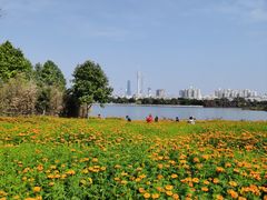 -海珠湖公园