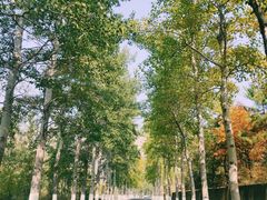 -百里山水画廊乌龙峡谷