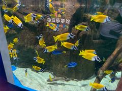 -欢乐海岸海洋奇梦馆